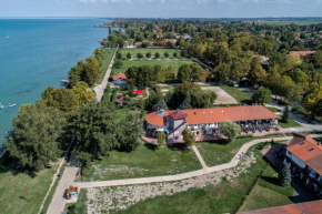 Zamárdi Sirály, Zamárdi